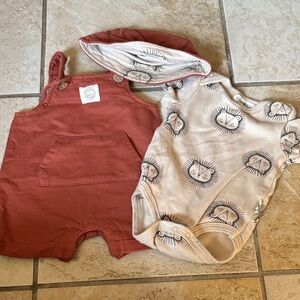 Organic Cotton Rust Overalls and Lion Print Onesie Set